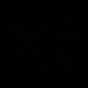 Meet your Posher, Colia